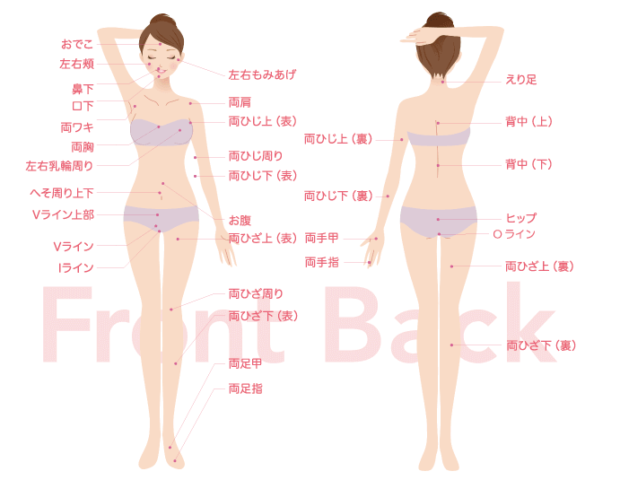 シースリー(C3)栄店は全身53ヶ所脱毛